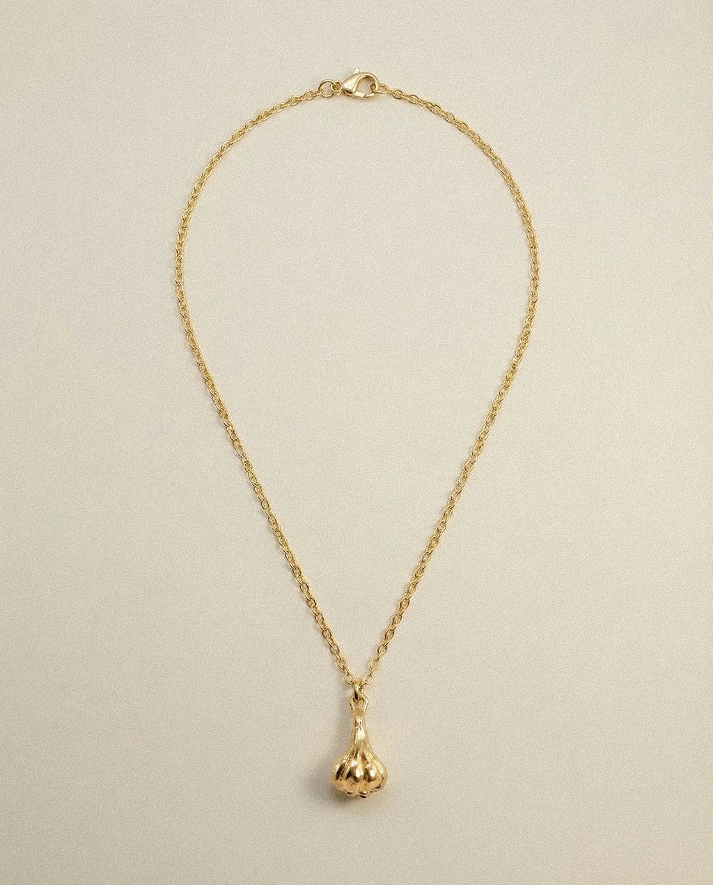 Collar de Ajo con Cadena 