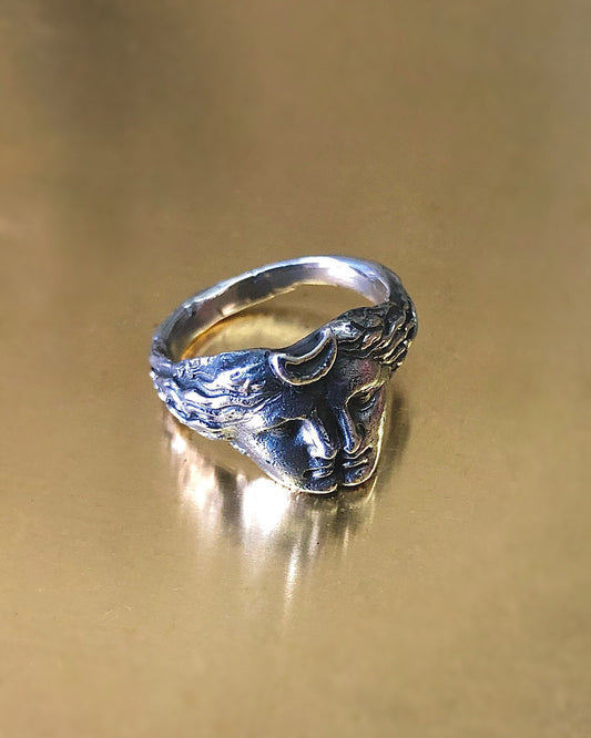 Gemini Ring