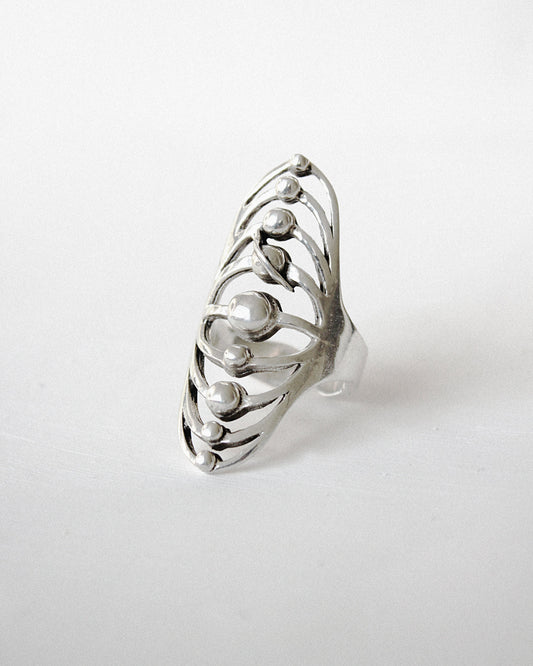 Planetary Alignment Ring
